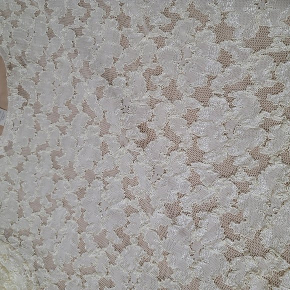 XXL Coldwater Creek Long Sleeve beige cream mesh lace embroidered floral plus - Picture 4 of 7